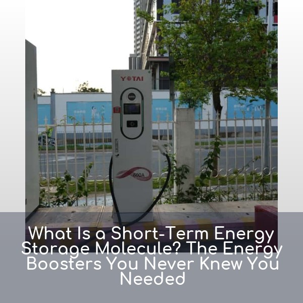 What Is a Short-Term Energy Storage Molecule? The Energy Boosters You Never Knew You Needed